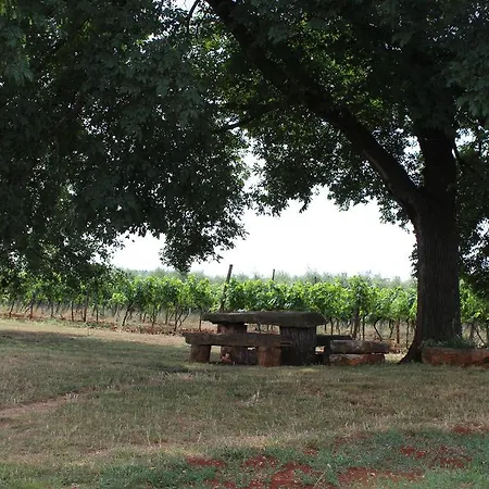 Apartamento Ghira Winery Bužinija