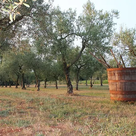 Ghira Winery Apartamento Bužinija