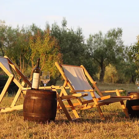 Ghira Winery * Bužinija
